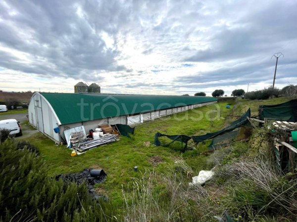 negozio in vendita ad Arlena di Castro