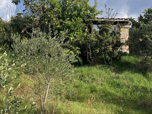 casa indipendente in vendita ad Arlena di Castro
