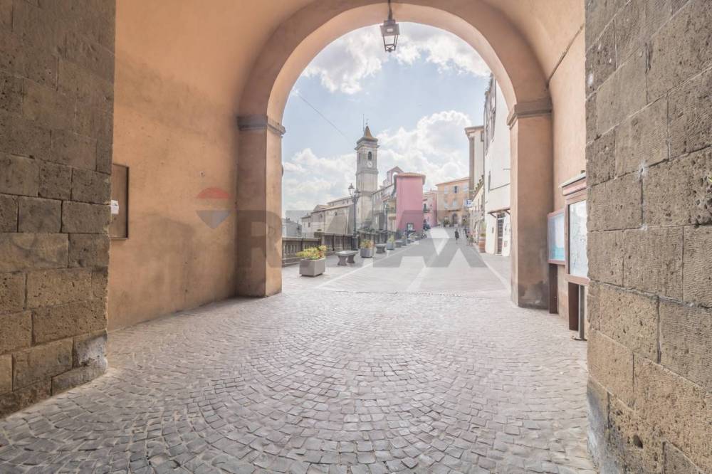 casa indipendente in vendita ad Arlena di Castro