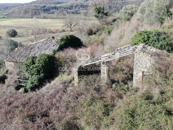 rudere in vendita ad Arlena di Castro