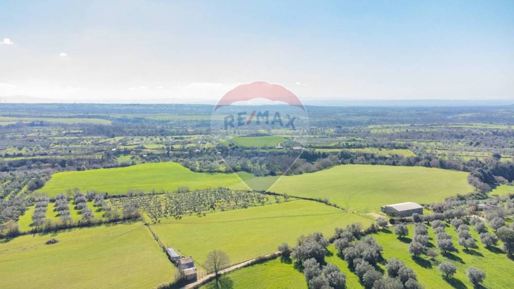 terreno agricolo in vendita ad Arlena di Castro