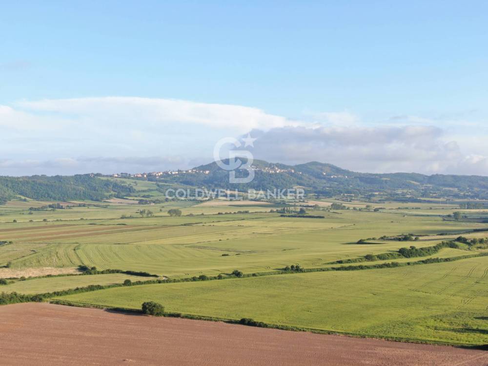 terreno agricolo in vendita ad Arlena di Castro