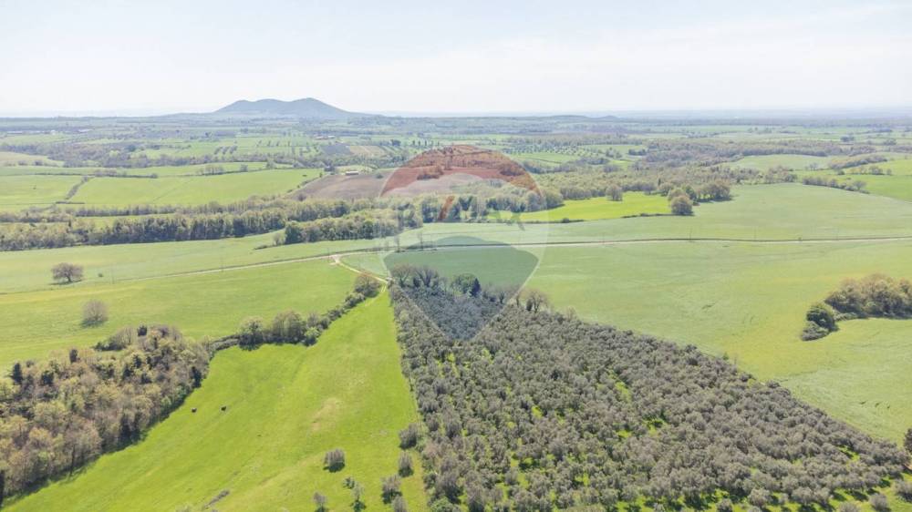 terreno agricolo in vendita ad Arlena di Castro