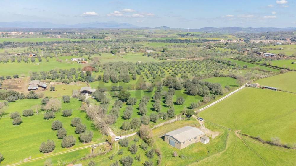 terreno agricolo in vendita ad Arlena di Castro