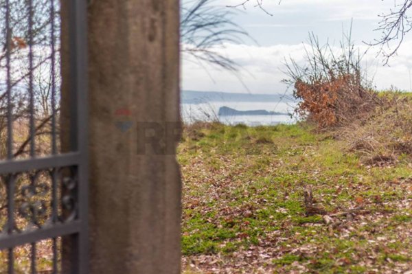 terreno agricolo in vendita ad Arlena di Castro