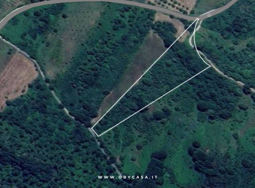 terreno agricolo in vendita ad Arlena di Castro