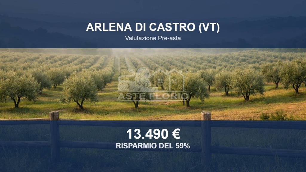 terreno agricolo in vendita ad Arlena di Castro