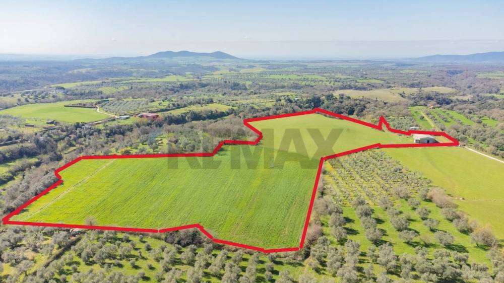 terreno agricolo in vendita ad Arlena di Castro