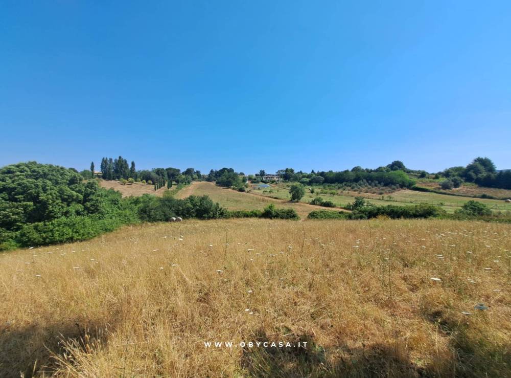 terreno agricolo in vendita ad Arlena di Castro