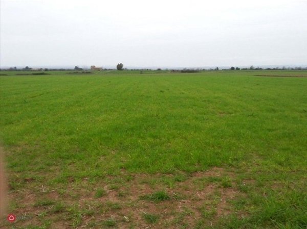 negozio in vendita a Bagnoregio