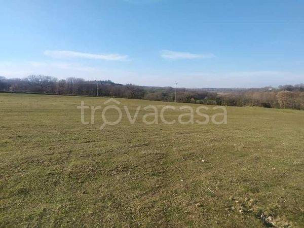 terreno agricolo in vendita a Bagnoregio