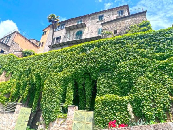 appartamento in vendita a Bagnoregio