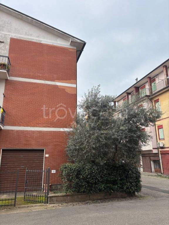 appartamento in vendita a Bagnoregio
