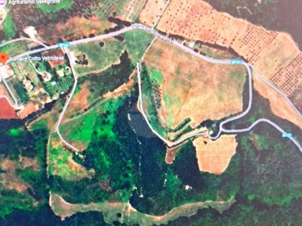 azienda agricola in vendita a Bagnoregio
