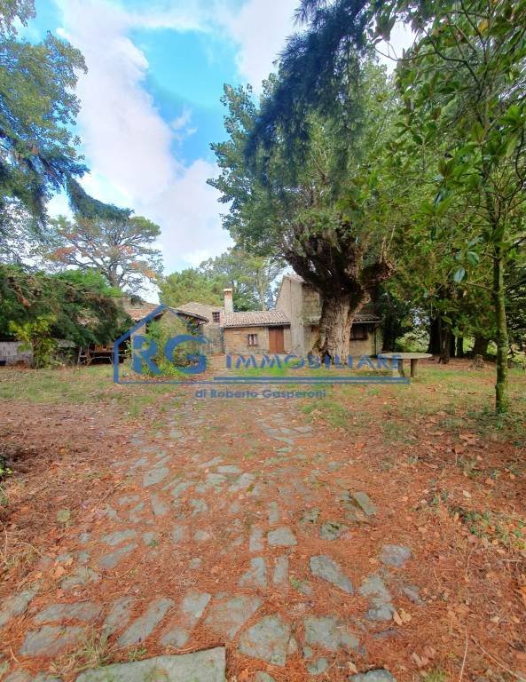 casa indipendente in vendita a Bagnoregio