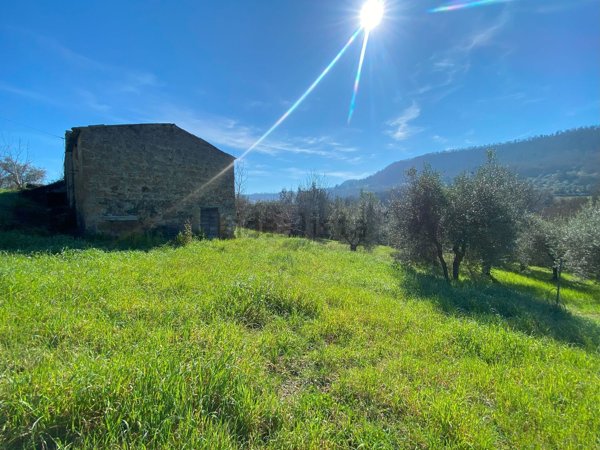 appartamento in vendita a Bagnoregio