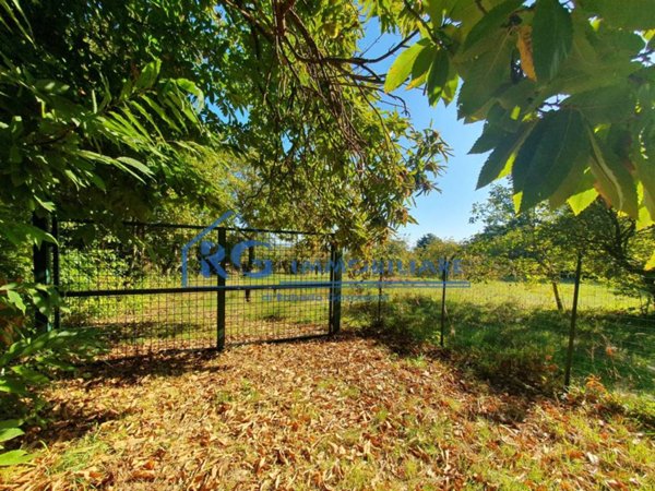 terreno agricolo in vendita a Bagnoregio