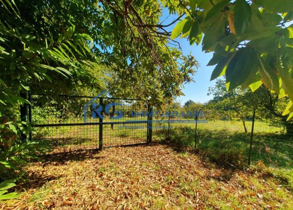 casa semindipendente in vendita a Bagnoregio