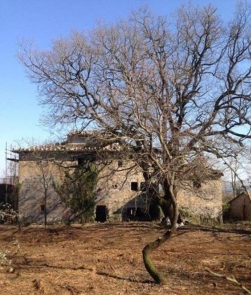casa indipendente in vendita a Bagnoregio in zona Castel Cellesi
