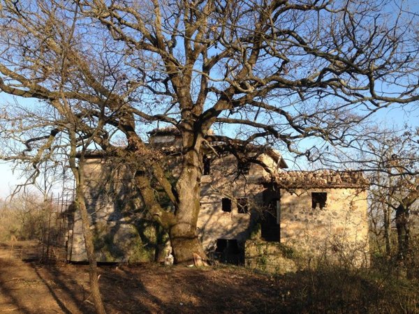 casa indipendente in vendita a Bagnoregio in zona Castel Cellesi