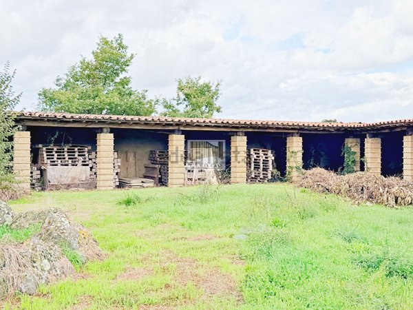 casa indipendente in vendita a Bagnoregio