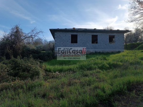 esavano in vendita a Bagnoregio in zona Castel Cellesi