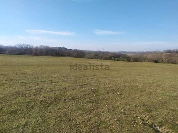 terreno agricolo in vendita a Bagnoregio