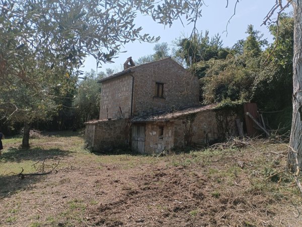 appartamento in vendita a Bagnoregio