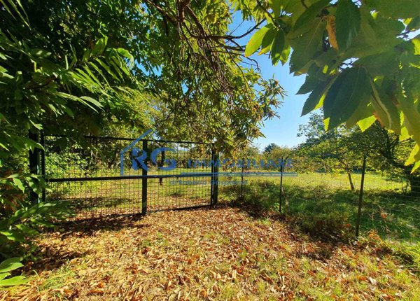 casa semindipendente in vendita a Bagnoregio