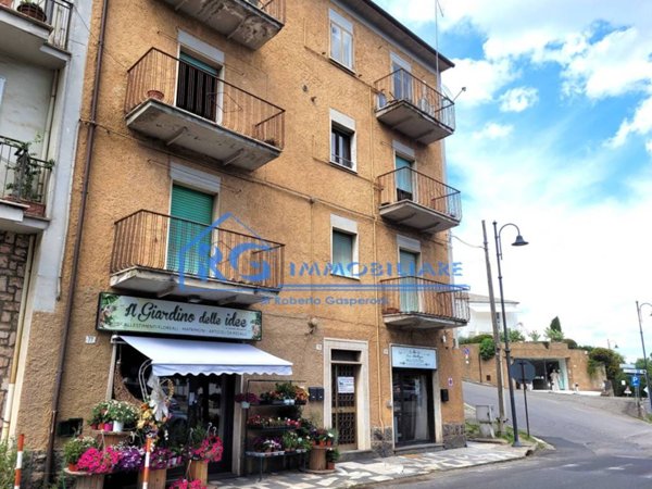 appartamento in vendita a Bagnoregio