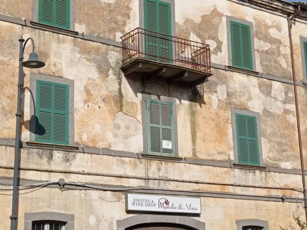 appartamento in vendita a Bagnoregio
