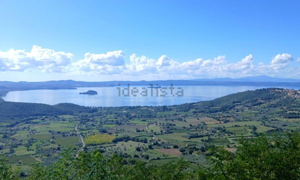 casa indipendente in vendita a Bagnoregio