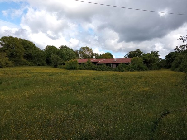 terreno agricolo in vendita a Barbarano Romano