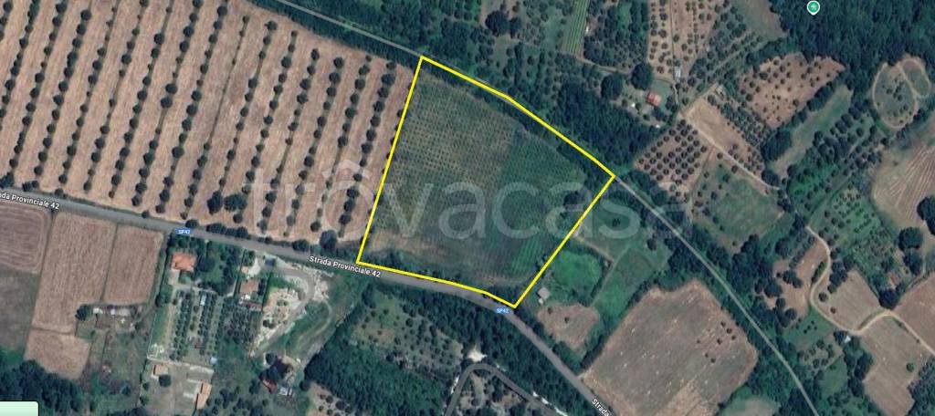terreno agricolo in vendita a Barbarano Romano