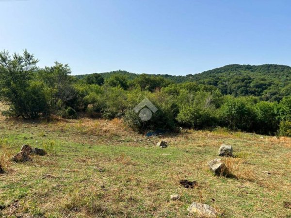 terreno agricolo in vendita a Barbarano Romano