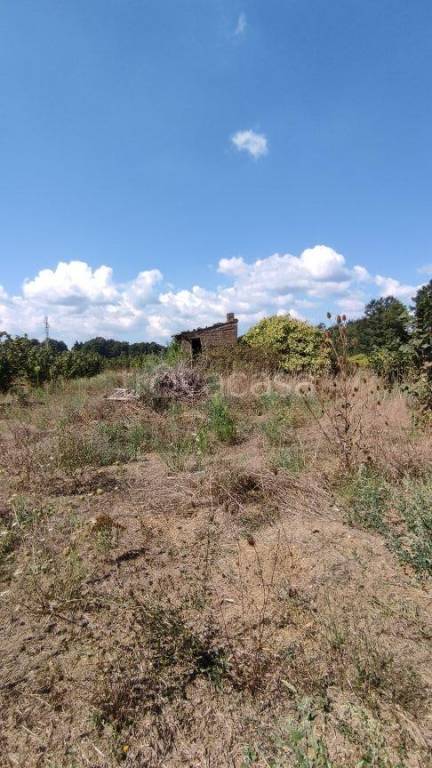 locale di sgombero in vendita a Bassano Romano