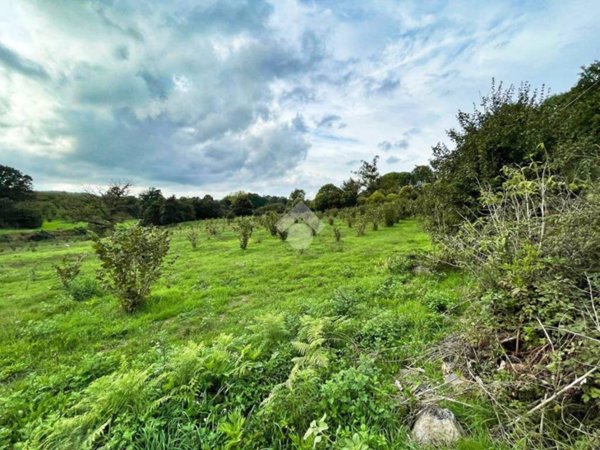 terreno agricolo in vendita a Bassano Romano