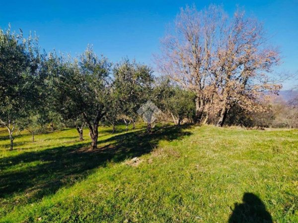 terreno agricolo in vendita a Bassano Romano
