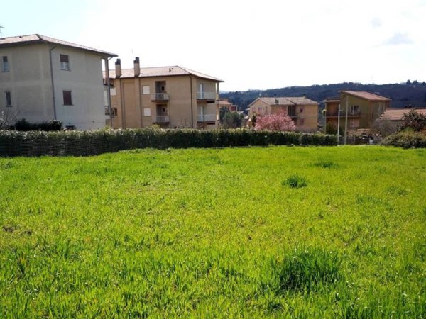 terreno agricolo in vendita a Bassano Romano