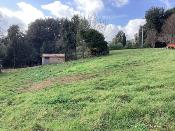 terreno agricolo in vendita a Bassano Romano