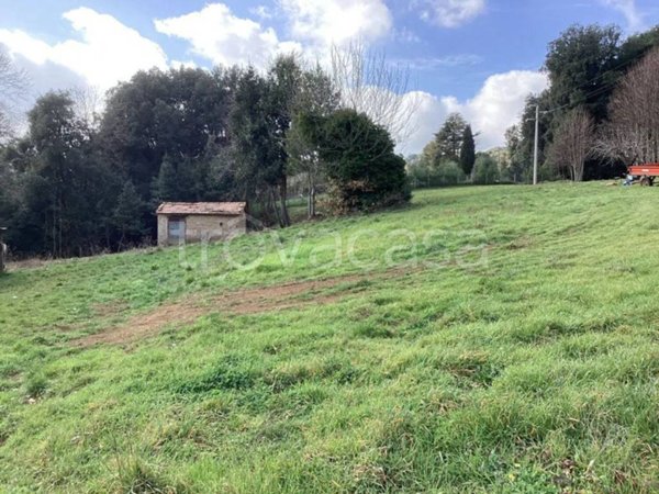 terreno agricolo in vendita a Bassano Romano