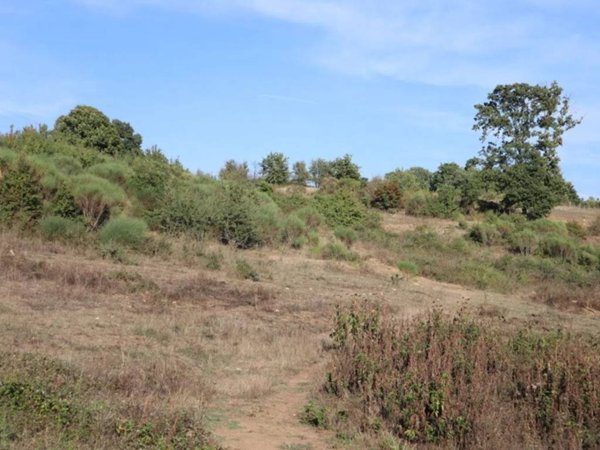 terreno agricolo in vendita a Bassano Romano