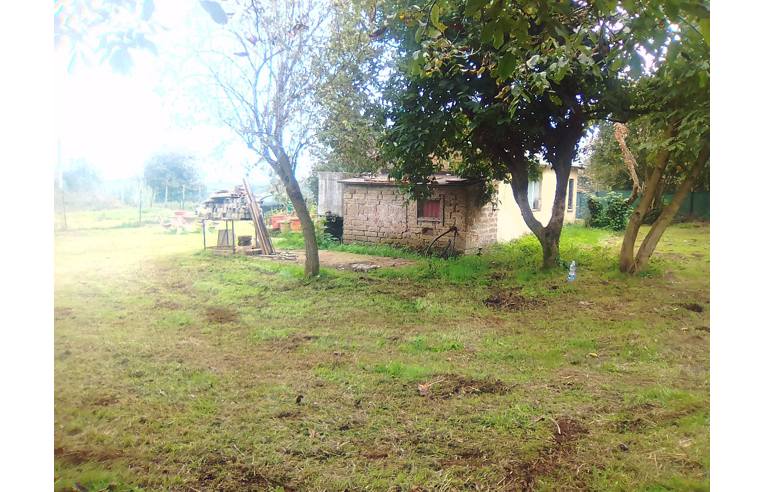 terreno agricolo in vendita a Bassano Romano