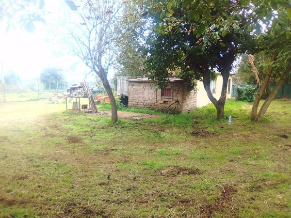 terreno agricolo in vendita a Bassano Romano