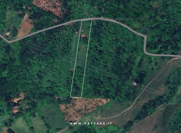 casa indipendente in vendita a Bassano Romano