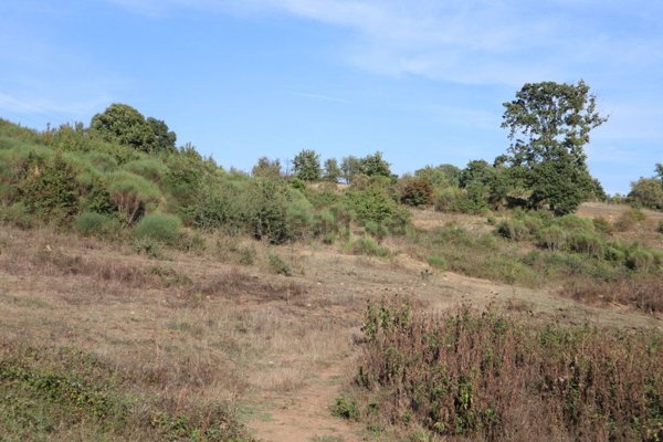 terreno agricolo in vendita a Bassano Romano