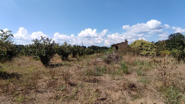 appartamento in vendita a Bassano Romano