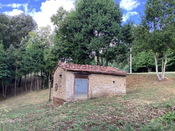 terreno agricolo in vendita a Bassano Romano