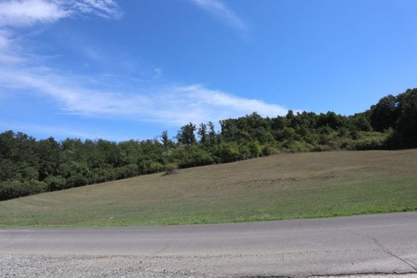 terreno agricolo in vendita a Bassano Romano