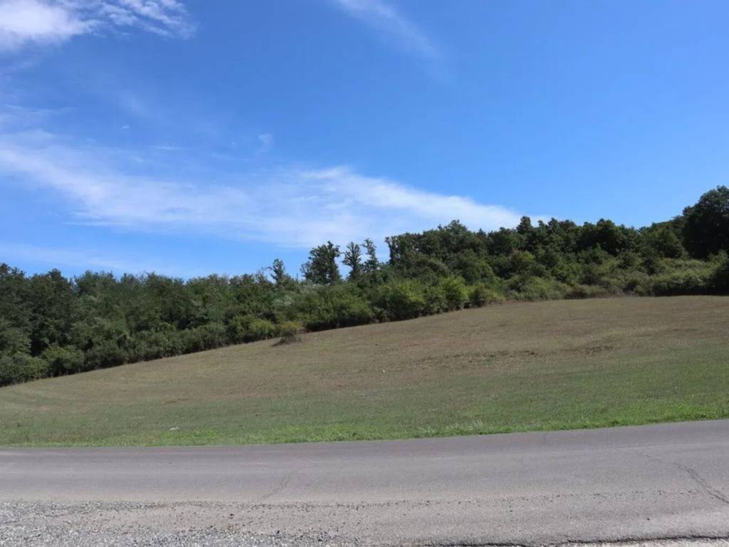 terreno agricolo in vendita a Bassano Romano